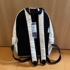 dieselリュックの画像