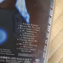 EVANESCENCE -FALLEN-洋楽CDの画像