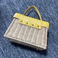 ZARAカゴバックの画像