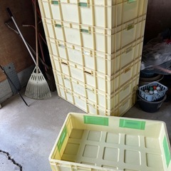 中古　特大番重　コンテナ3個