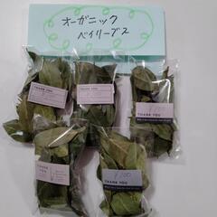 ベイリーブス