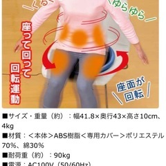 値下げ‼️サークルツイスターの画像