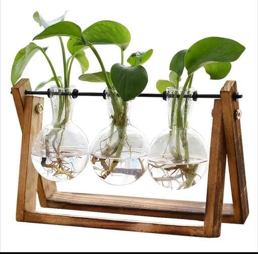 未使用 植物 水耕栽培 スタンド ディスプレイ ガラス  テラリウム 木製