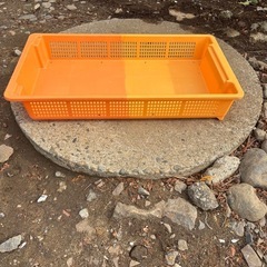 プラスチック　かご