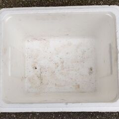 無料　発泡スチロール①の画像
