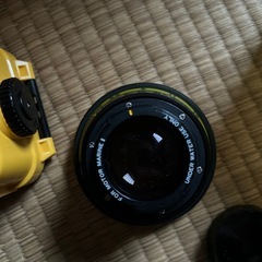 水中カメラの画像