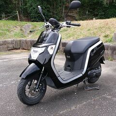 Honda Dunk 原付 50cc ダンク ホンダの画像