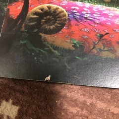 アートボード アリス・イン・ワンダーランドの画像