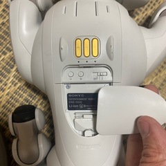 SONY AIBOの画像