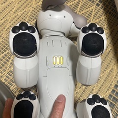 SONY AIBOの画像