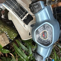 中古スーパーカブ110 (ja10)の画像