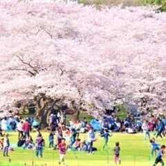 一緒に飲み会参加しませんか