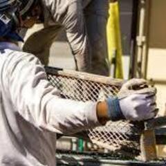 【現場作業STAFF】解体工職人 日給1万2000円以上★ 現金...