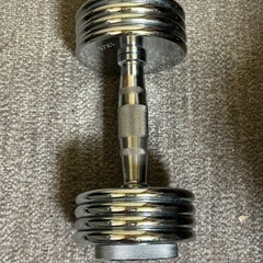 ダンベル10kg