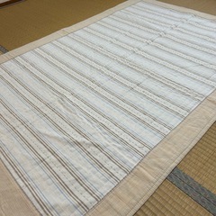 【美品✨】ニトリ　スペースラグ