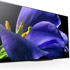 テレビ　有機ELテレビ　55型　ソニー　2019年製　【ジャングルジャングルイズミヤ広陵店】の画像