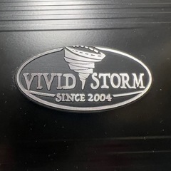 早いもの勝ち！ VIVID STORM 100インチ 電動スクリーン 動作OK 現状渡し の画像