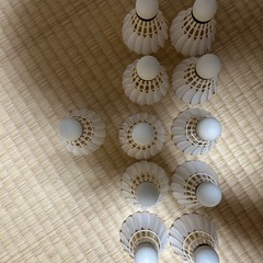 AS200 11個入りの画像