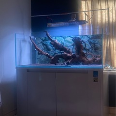 水槽セット