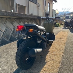ズーマー　大人気の緑‼️の画像