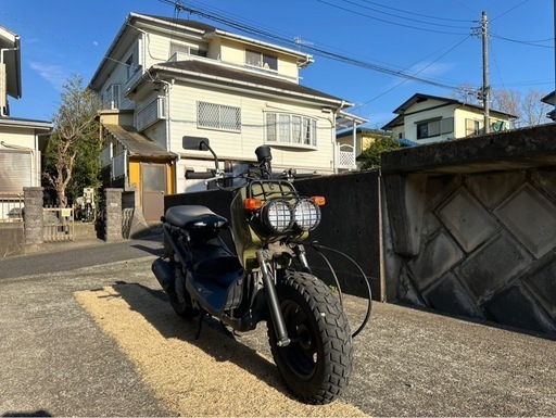 ズーマー　大人気の緑‼️