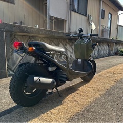 ズーマー　大人気の緑‼️の画像