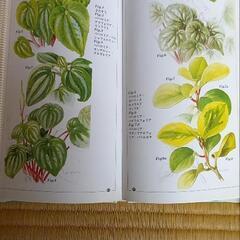 植物の本10冊の画像
