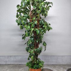 フェイクグリーン(造花・人工観葉植物)、高さ200センチ、15号...