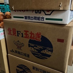 北見産🧅玉葱L大サイズ✨＆開店時間などのお知らせ📢