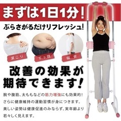 【お譲り先が決まりました！】ぶら下がり健康器の画像