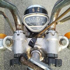 くるくるダックスエクスポート  蔵出し産出し納屋ものの画像