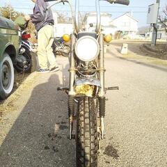 くるくるダックスエクスポート  蔵出し産出し納屋ものの画像