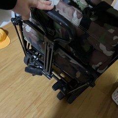 キャリーワゴン早い者勝ち