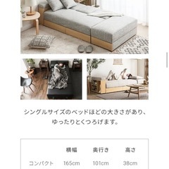 傷に強いペット対応生地も] 収納付き3人掛け多機能ソファ(受け取り決定)の画像