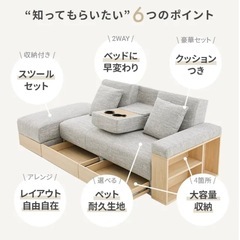 傷に強いペット対応生地も] 収納付き3人掛け多機能ソファ(受け取り決定)の画像
