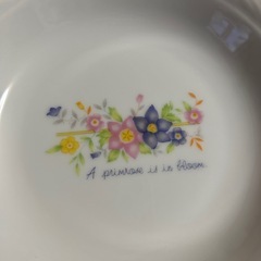 お皿5枚セット値下げしましたの画像