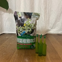 モンステラ・パキラ・観葉植物の土・栄養剤の画像