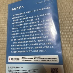 アベノマスク 2枚入の画像
