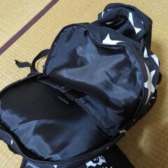 スター柄リックの画像