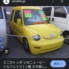 激レア！ミニカ ビートル顔キットの画像