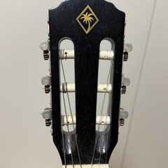 レキントギター Palmer MARINA-Nの画像