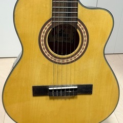 レキントギター Palmer MARINA-Nの画像