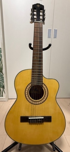レキントギター Palmer MARINA-N