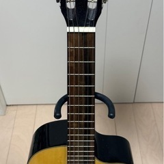 レキントギター Palmer MARINA-Nの画像