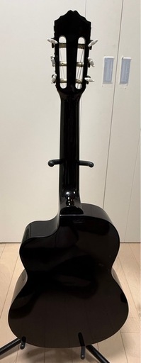 レキントギター Palmer MARINA-N