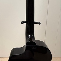 レキントギター Palmer MARINA-Nの画像