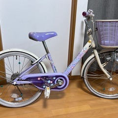 プリジストンエコパルEP20子供自転車