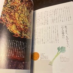 人気✨おやこの薬膳ごはん✨山田奈美✨の画像