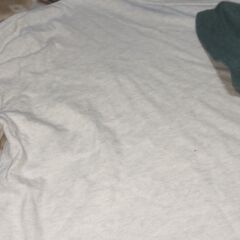 【終了・有難うございました‼】中古 ポロ ラルフローレン 色違いTシャツ ロゴ刺繍 Mサイズ 早い者勝ちです✨✨の画像