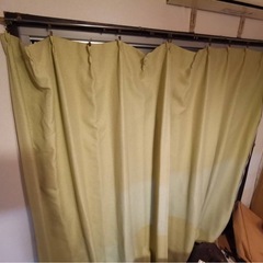 緑カーテンの画像